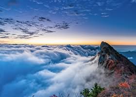 岛遇 抖音梅美超甜合集资源下载