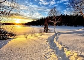 双木扶苏cosplay写真合集12期 6GB高清资源下载