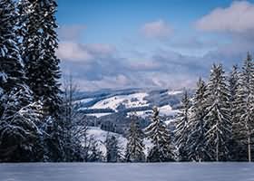 森萝财团美女写真图集合集 445套 1065GB