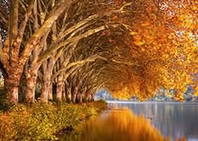 岛遇 露露 吃饱了 抖音写真 222P 76V 合集