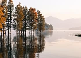 51酱美女写真图集21套 5GB下载