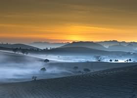 岛遇 抖音梅美超甜合集资源下载