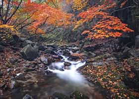 一小央泽美女写真图集合集 75套 32GB 下载