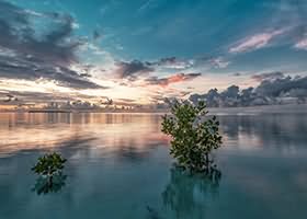 赤木青子@saizneko写真资源合集 持续更新 21.7GB