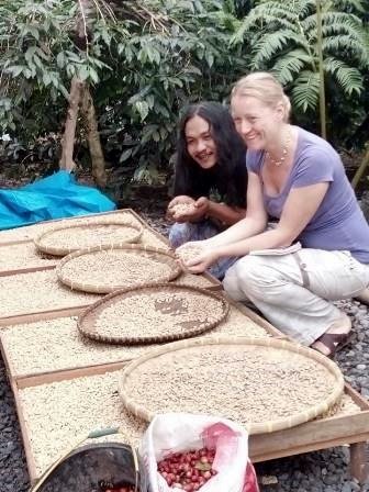 Sadikin Gembel memperlihatkan proses penjemuran biji kopi hasil panen kepada pengunjung dari mancanegara di Seladang Coffee