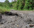 Jalan Belang Mancung-Ratawali Rusak Parah, Pemda Diminta Peduli