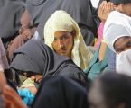 Jokowi: Pengungsi Rohingya ditampung sementara, UNHCR harus tanggung jawab