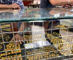 Harga Emas di Takengon Stabil Sepekan Terakhir